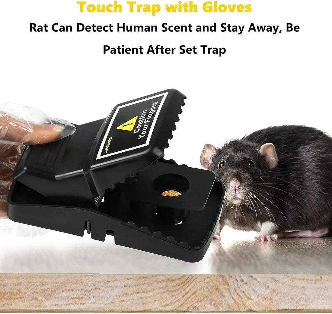Reusable Heavy Duty Mouse Trap – Fast & Effective Rodent Control